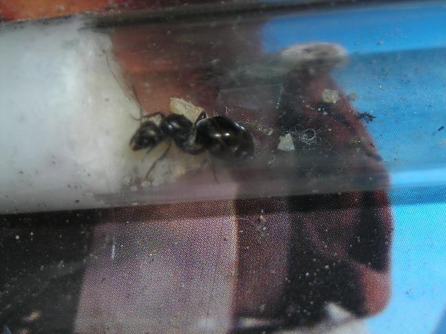 Продолжение.